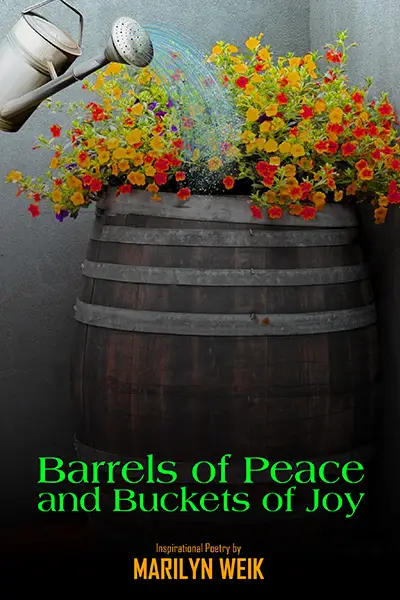 Star Landia Book Publishing